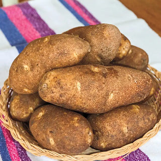 Canela Russet Potato - PVP Certified