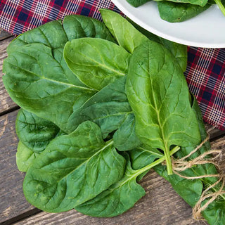 Spinach