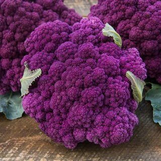 Cole Crops