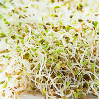 Sprouts/Microgreens