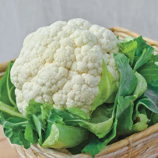 Cauliflower Seeds