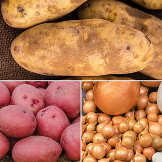 Potato and Onion Mash-Up